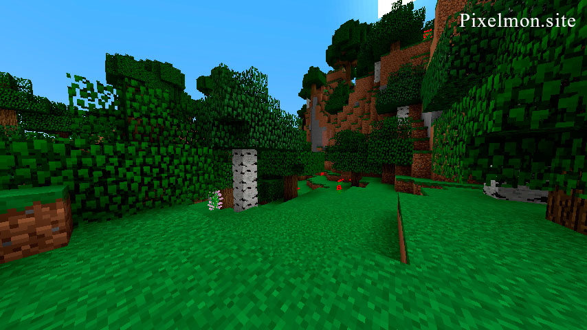 Forest in the Minecraft