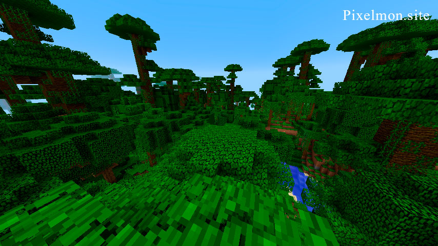 Jungle in the Minecraft