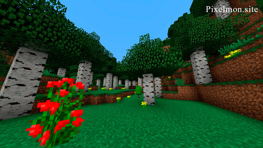 Birch Forest Hills in the Minecraft