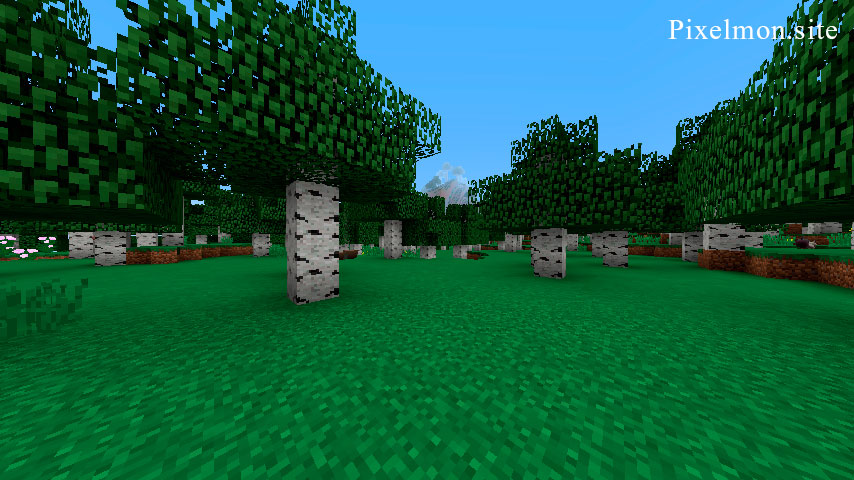 Birch Forest in the Minecraft