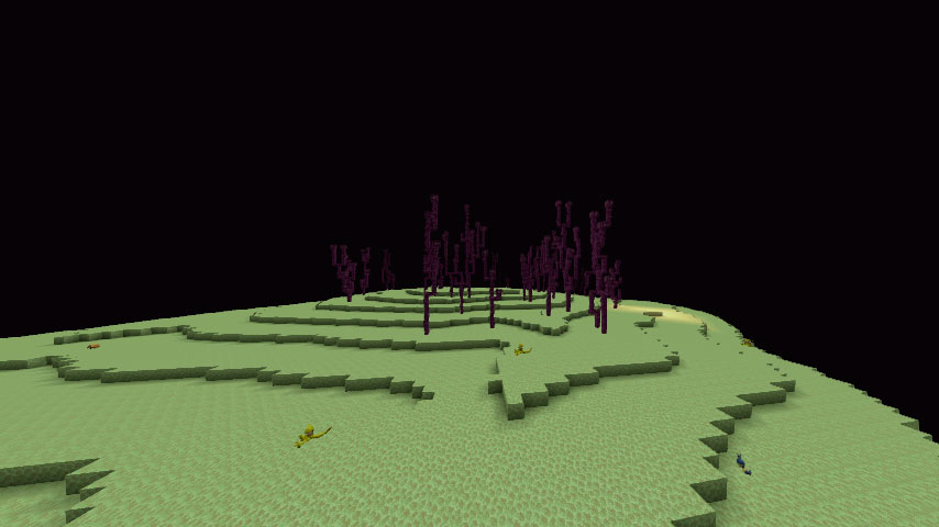 End Barrens in the Minecraft