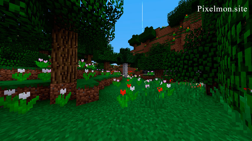 Flower Forest in the Minecraft