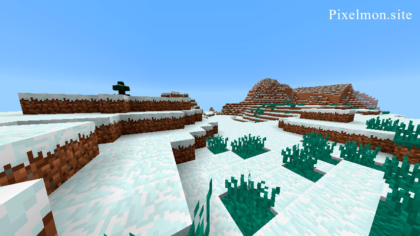 Ice Plains in the Minecraft