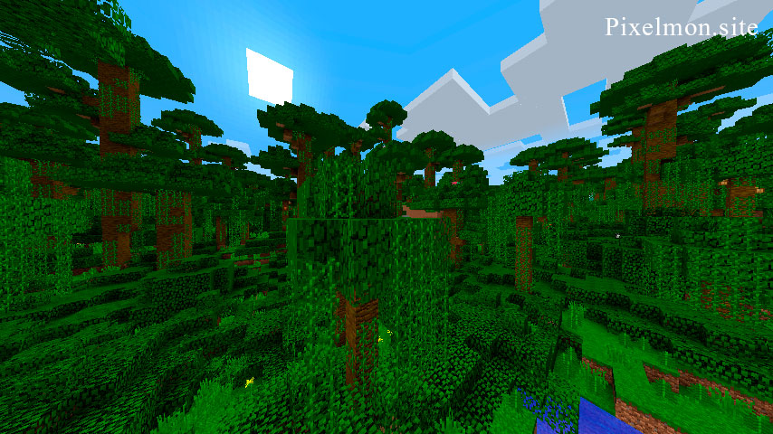 Jungle Edge M Biome on Minecraft Pixelmon