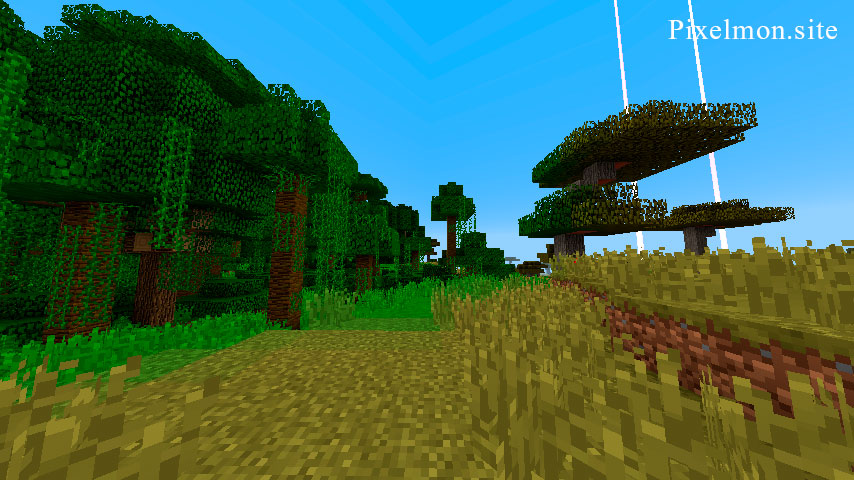 Jungle Edge in the Minecraft