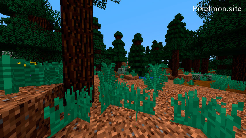 Mega Taiga Hills in the Minecraft