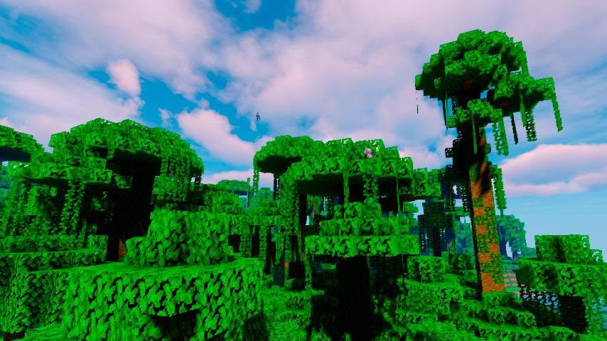 Modified Jungle in the Minecraft