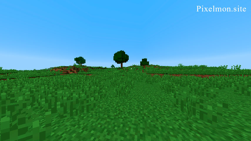 Plains in the Minecraft