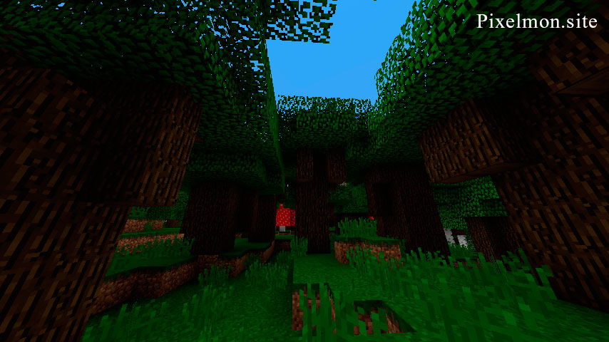 Roofed Forest in the Minecraft