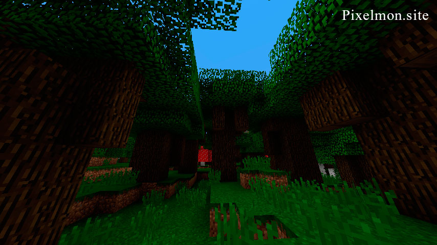 Roofed Forest M biome – Pixelmon Reforged Wiki