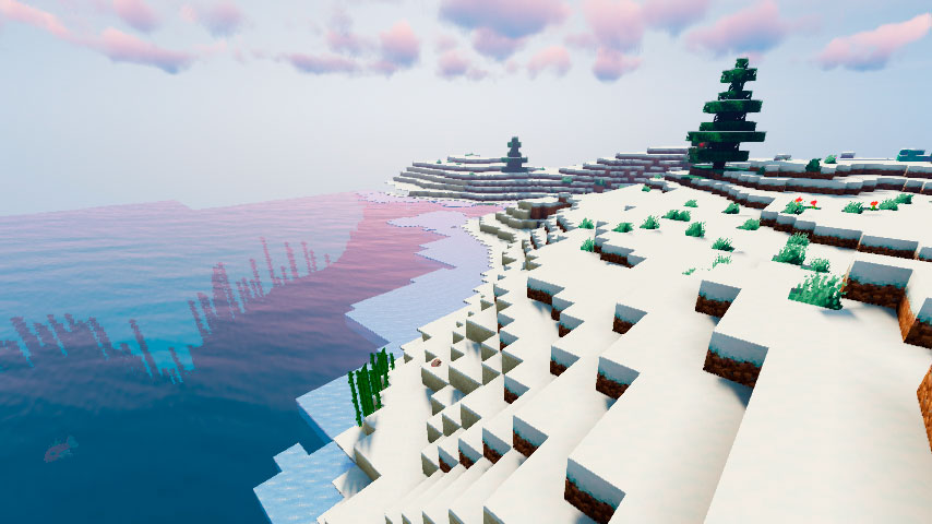 Snowy Beach in the Minecraft