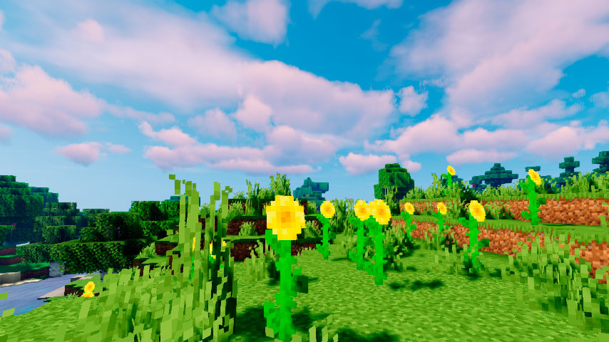 Sunflower Plains in the Minecraft