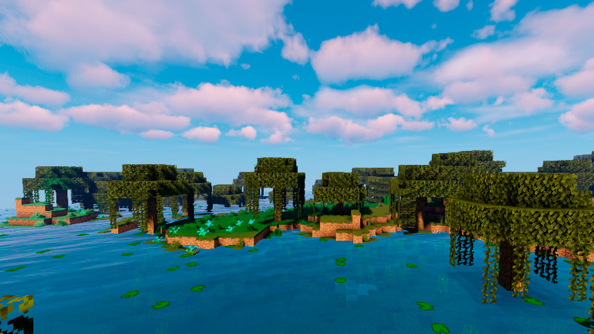 Swamp in the Minecraft