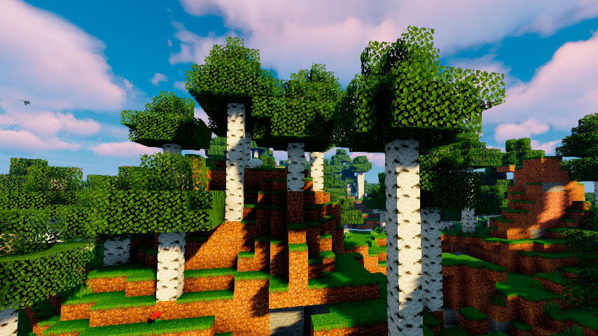 Tall Birch Hills in the Minecraft