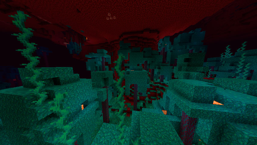 Warped Forest in the Minecraft