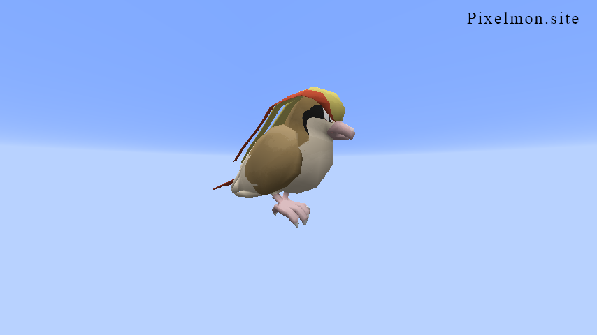 Ordinary Pidgeot Ordinary Pidgeot