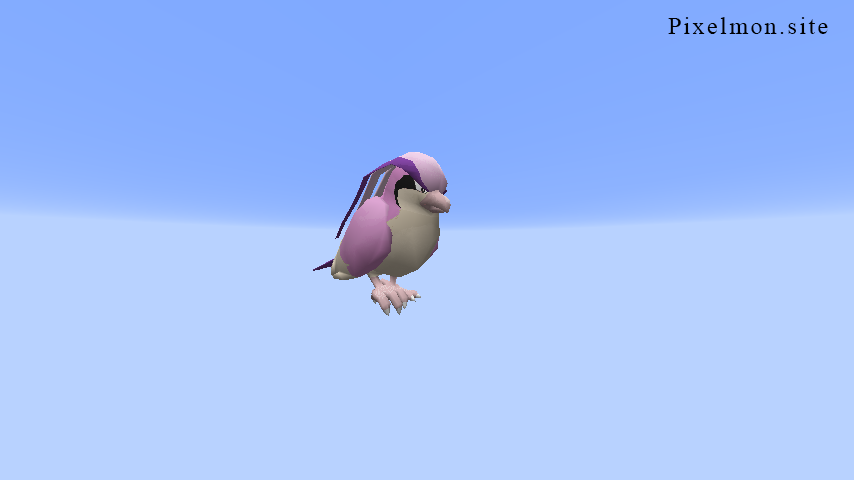 Pink Pidgeot Pink Pidgeot