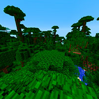 Dark Forest biome – Pixelmon Reforged Wiki